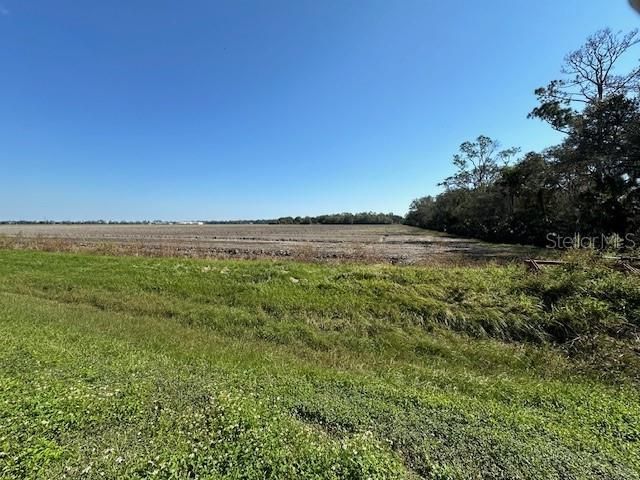 Active With Contract: $49,900 (0.50 acres)