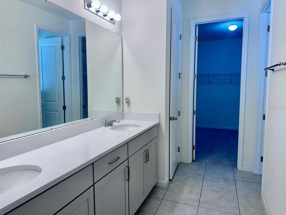 Master Bathroom with walking Shower.