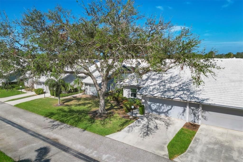 South facing front w/mature oak tree