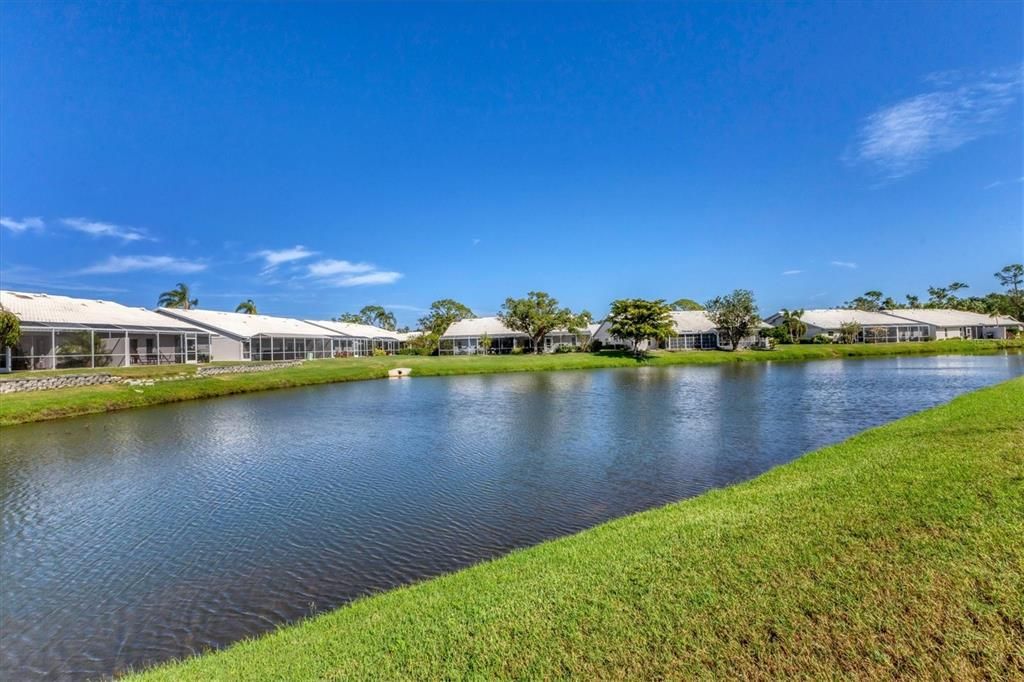 Pond view looking northeast