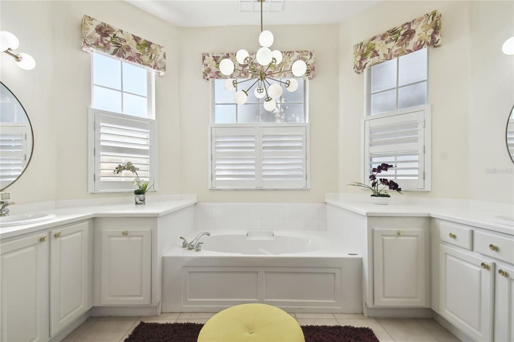 Soaking Tub in Bathroom Bay Window