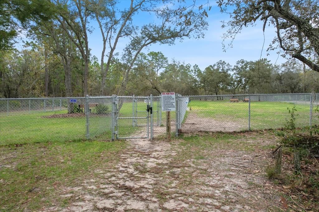 Pine Ridge Dog Park