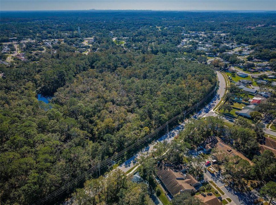 Palm Harbor 2 Bed 2 Bath Condo