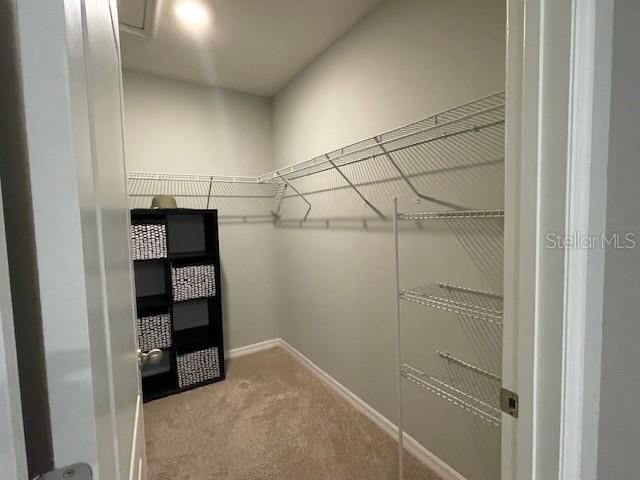 Walk-in Closet in Master bathroom