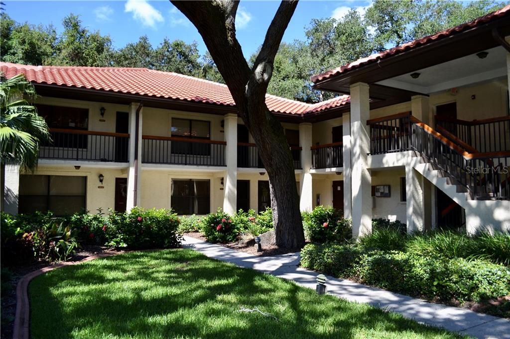 Exterior of Building 28.  Unit 2804 is downstairs beyond the beautiful oak tree