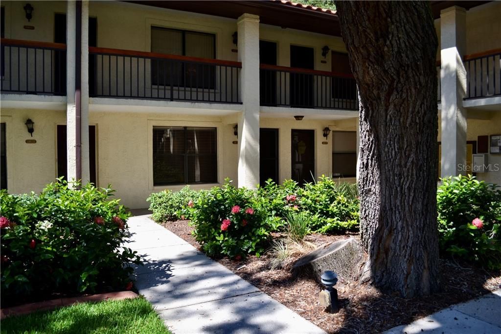 Lovely landscaping along the walkway in this well-maintained complex