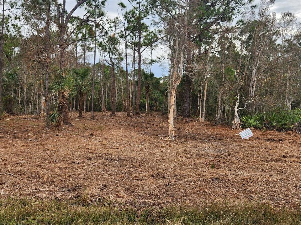 one cleared lot