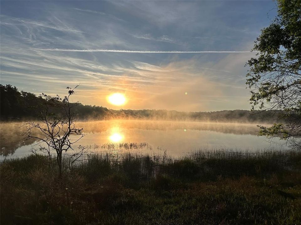 Recently Sold: $124,900 (1 beds, 1 baths, 735 Square Feet)