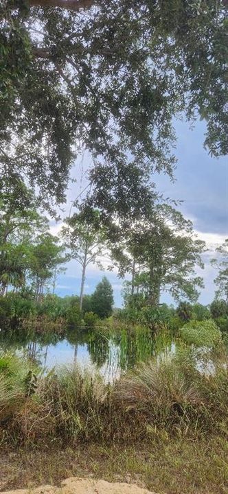 For Sale: $25,000 (1.02 acres)