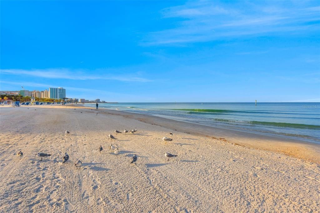 Clearwater Beach