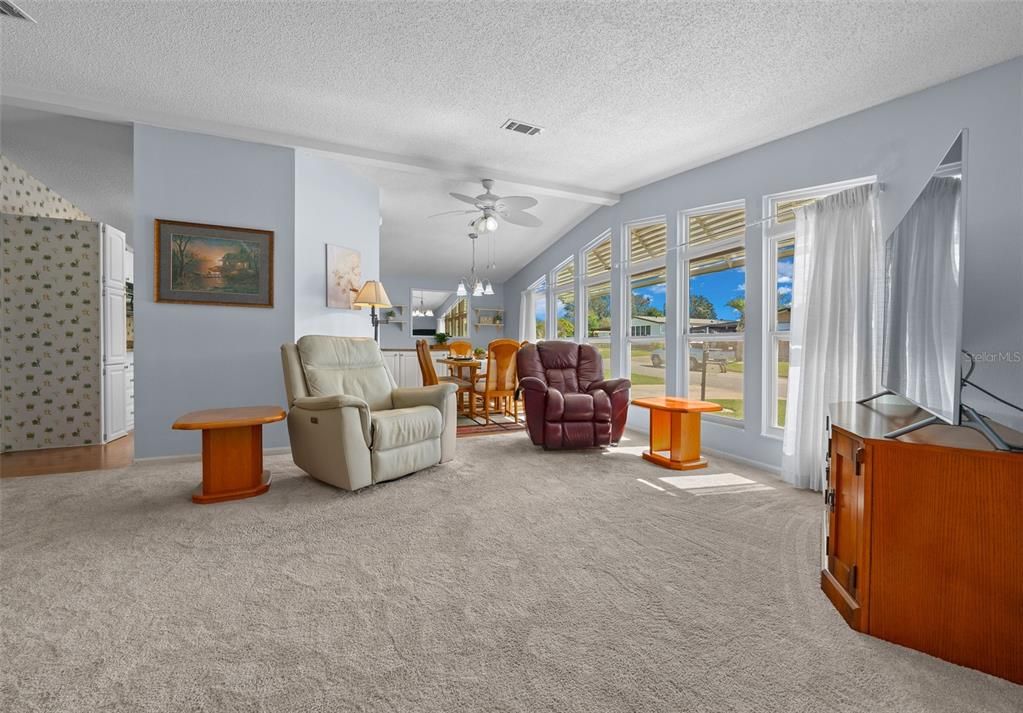 Living Room - Carpet and Large Windows