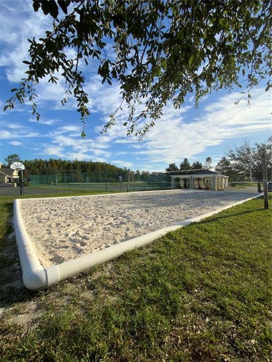 Sand Volleyball