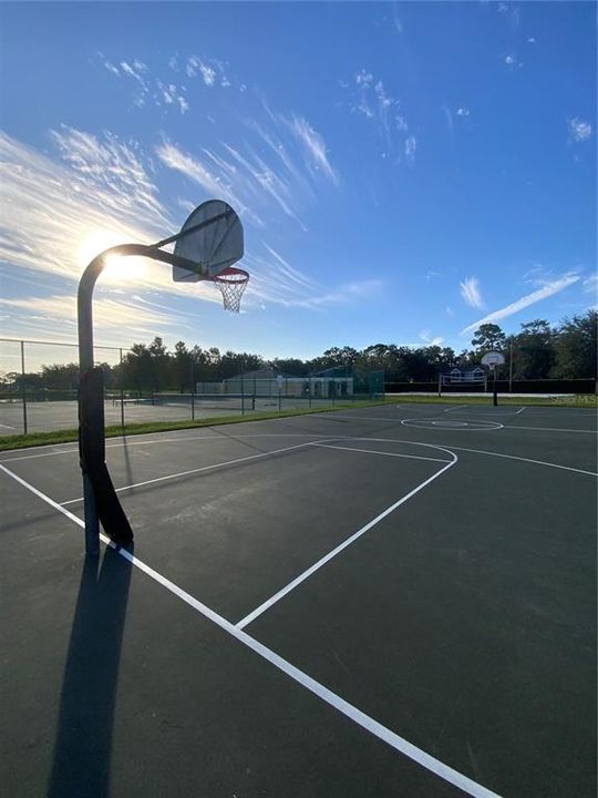 Basketball Court