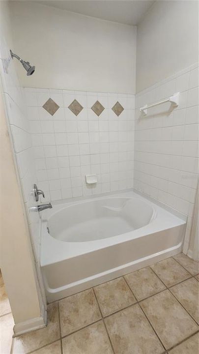 Large Bathroom