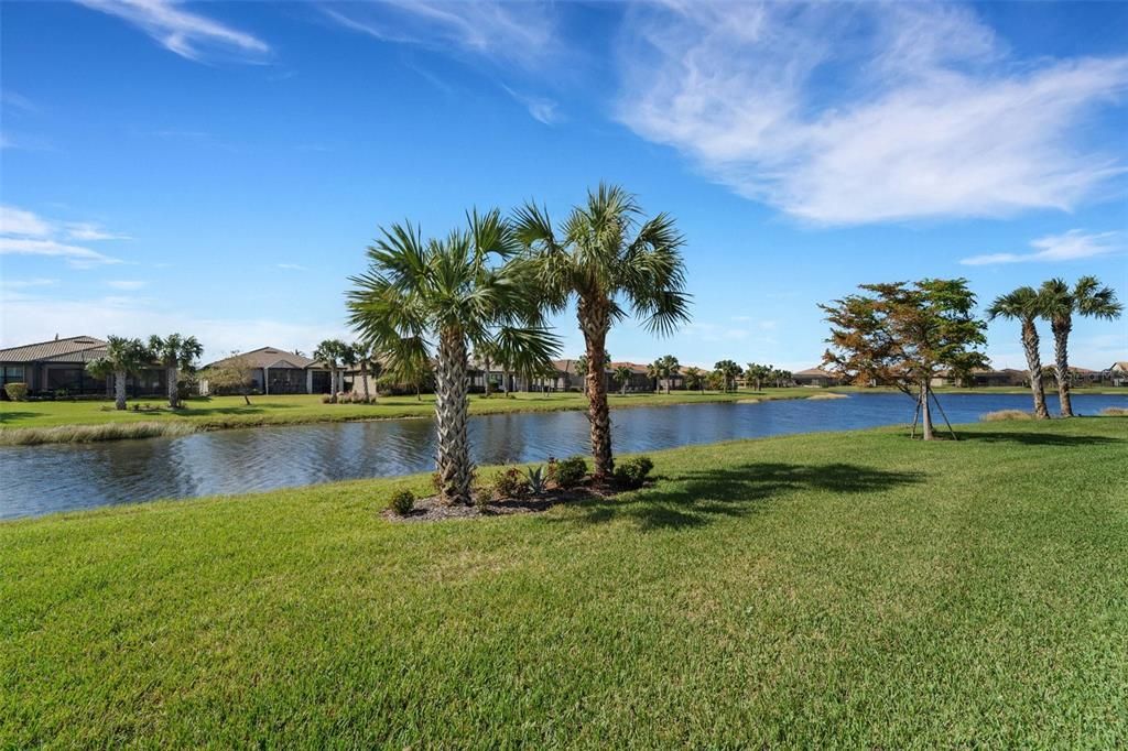 Canal/Pond in rear.  Palms swaying in the breeze.