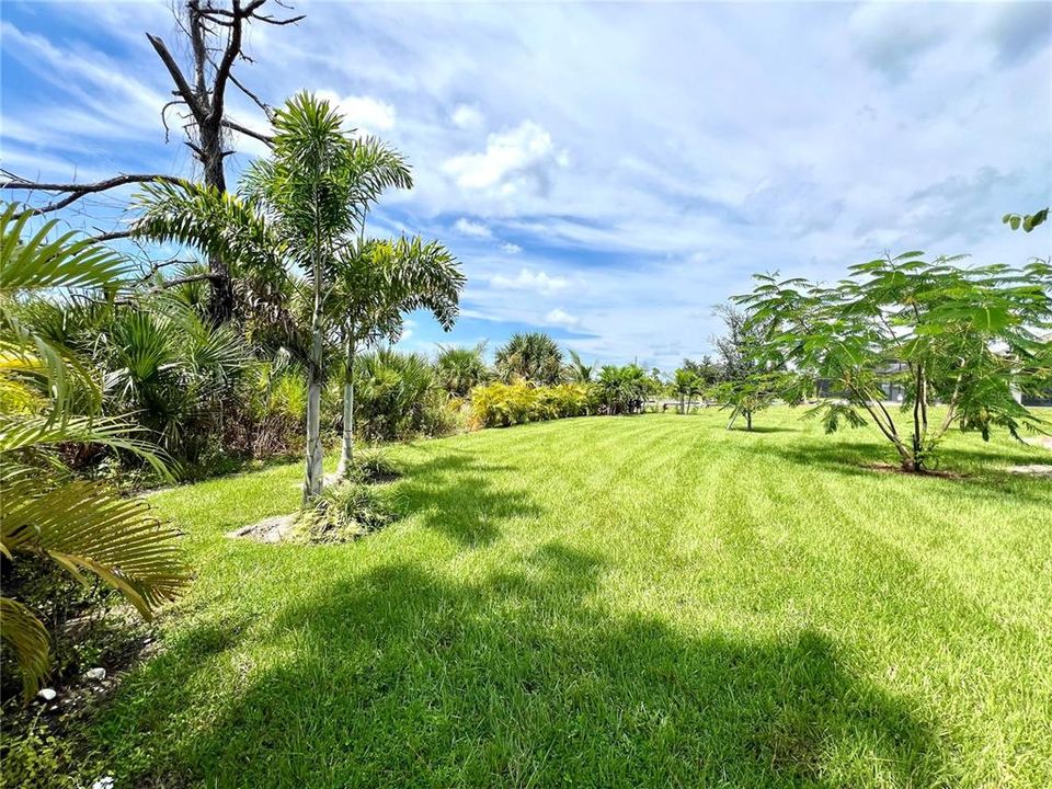 Massive backyard