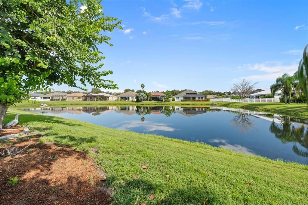 Backyard Water View