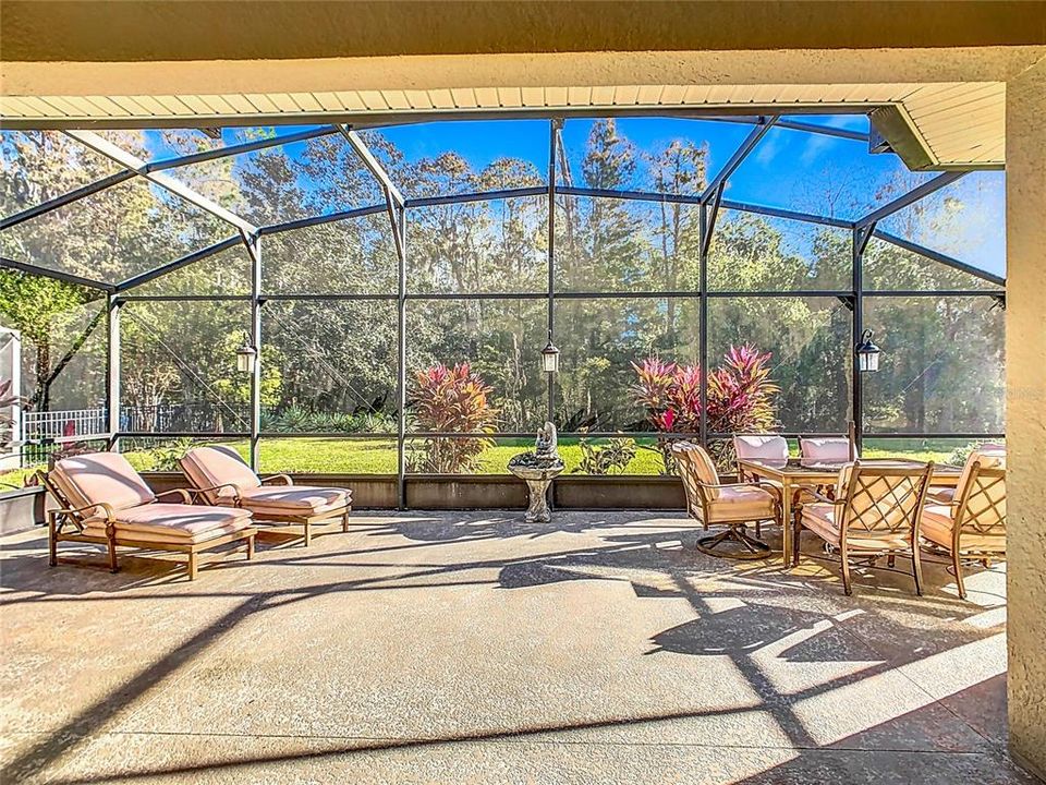 LARGE SCREENED LANAI ON CONSERVATION