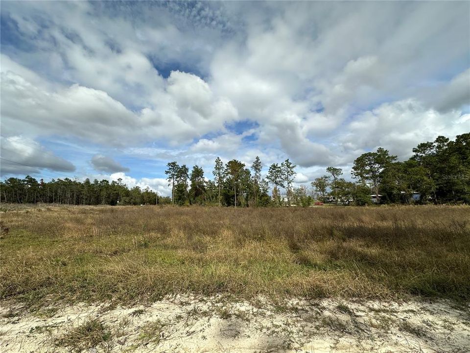 For Sale: $25,000 (1.13 acres)