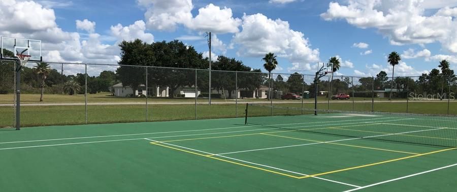 Basketball Court