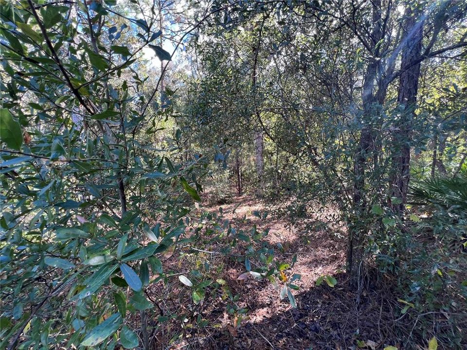 En Venta: $20,000 (0.56 acres)