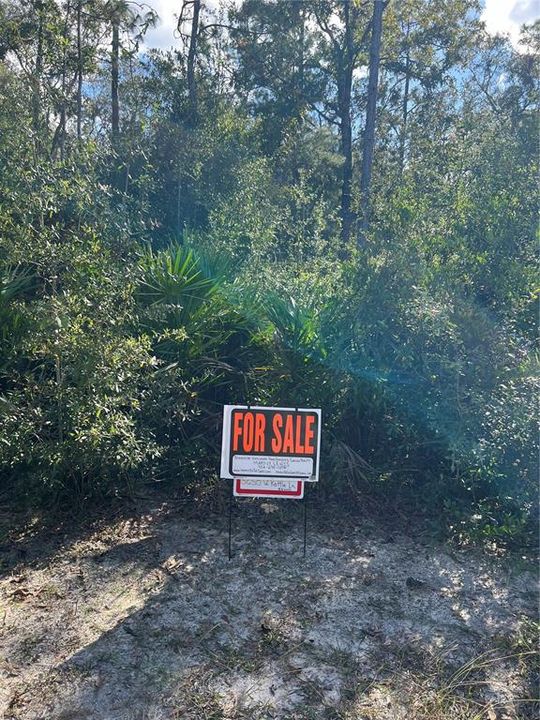 For Sale: $20,000 (0.56 acres)