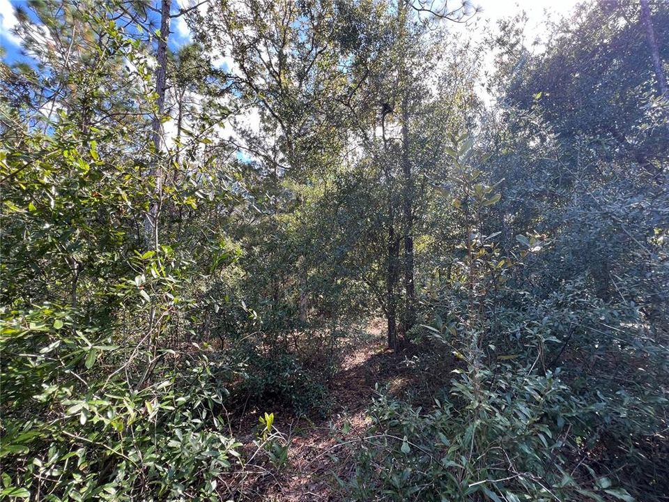 En Venta: $20,000 (0.56 acres)