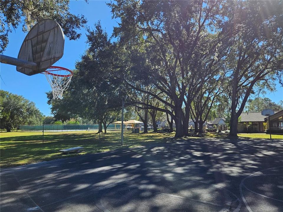 Basketball Courts