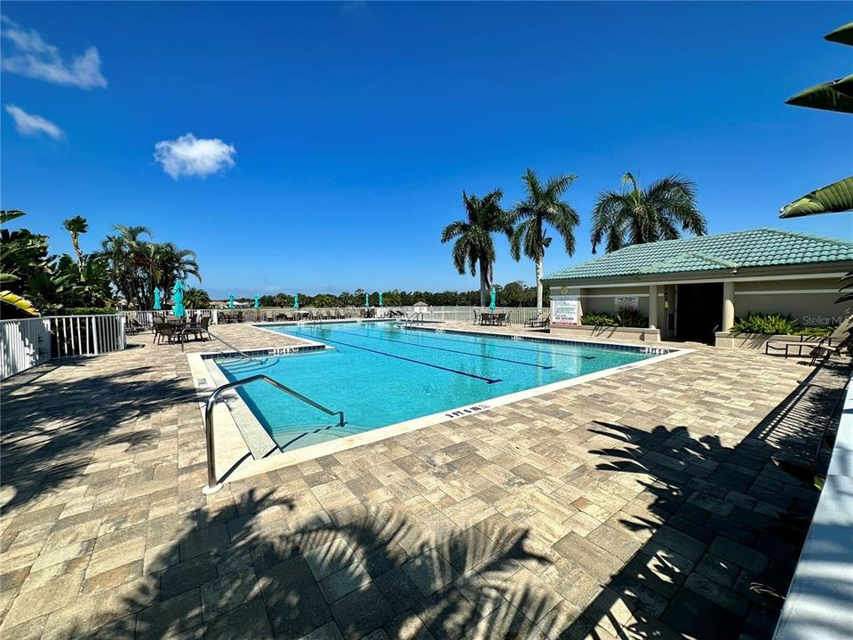 Lap/Main Pool at the Clubhouse