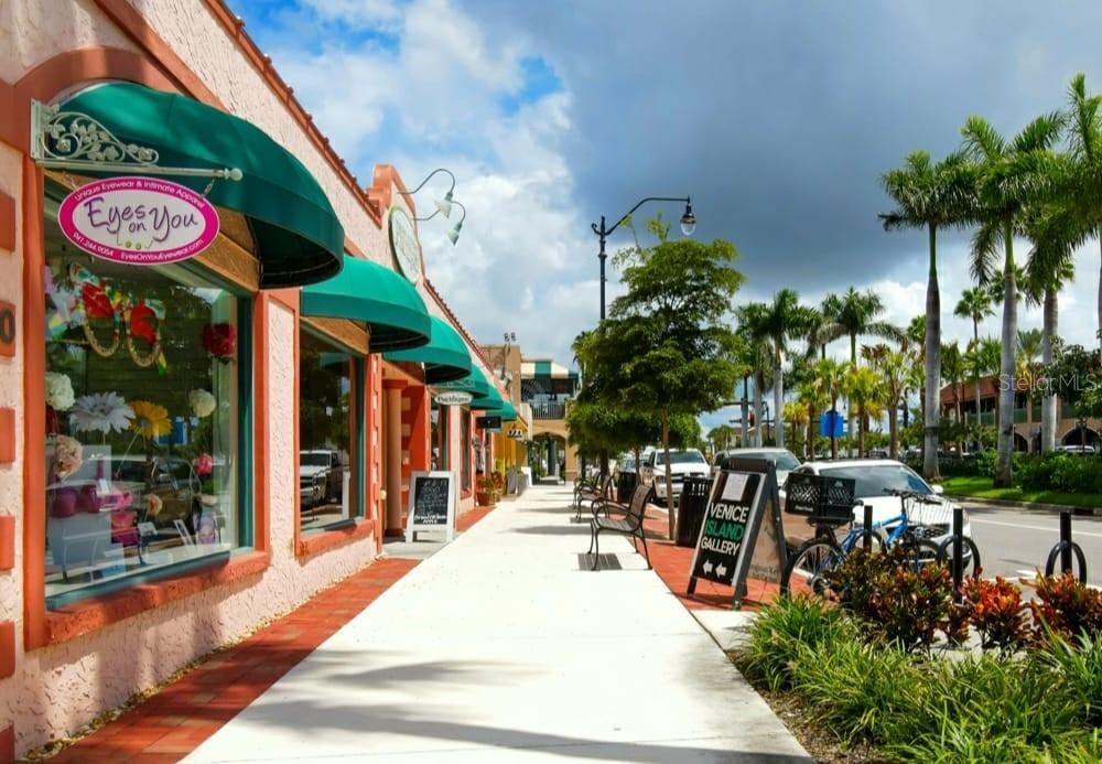 Some of the quaint shops in downtown Venice