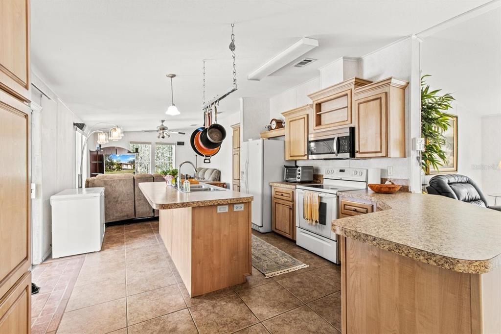 Open Concept Kitchen with Island