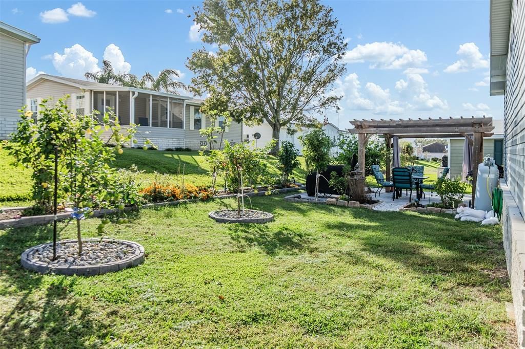 Delightful backyard with fruit trees and landscape borders