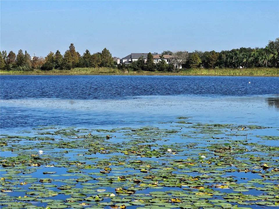 Skiable, Lake Susannah waterfront. Views of Baldwin Park.