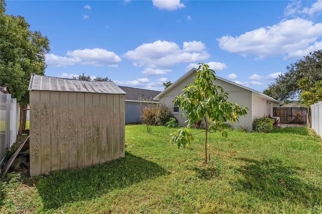 Backyard with Shed