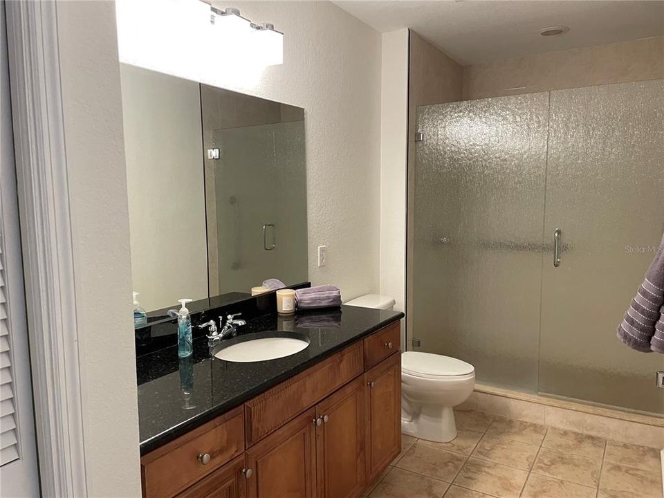 Master Bath and Walk in Shower