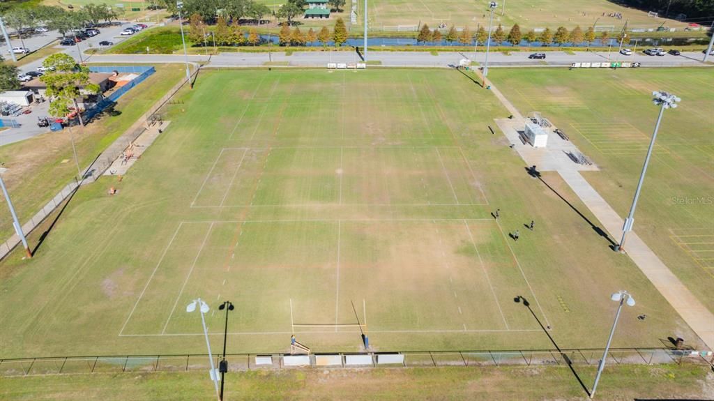 Rec Complex Fields