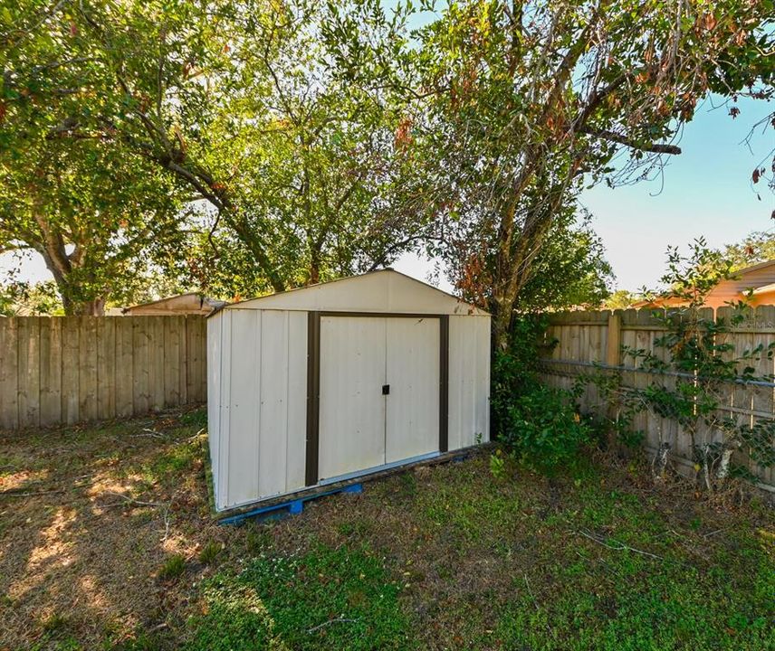 Backyard Shed