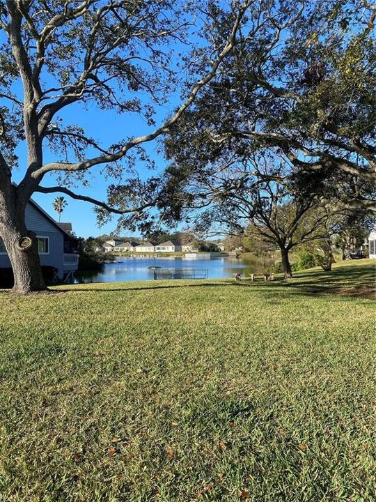 Community Park with Fishing Dock