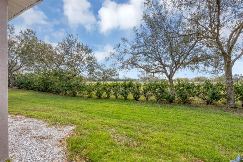 Spacious semi-private backyard.