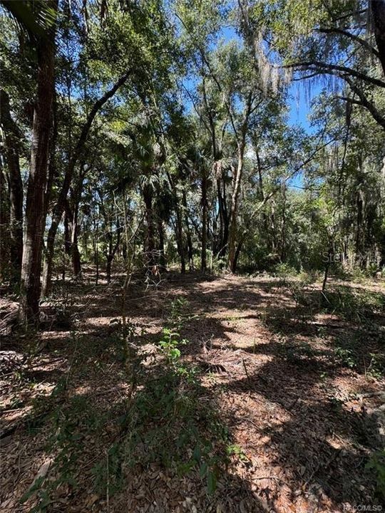 For Sale: $37,900 (1.20 acres)