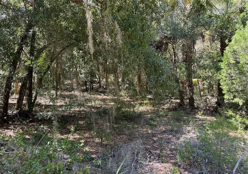 На продажу: $37,900 (1.20 acres)