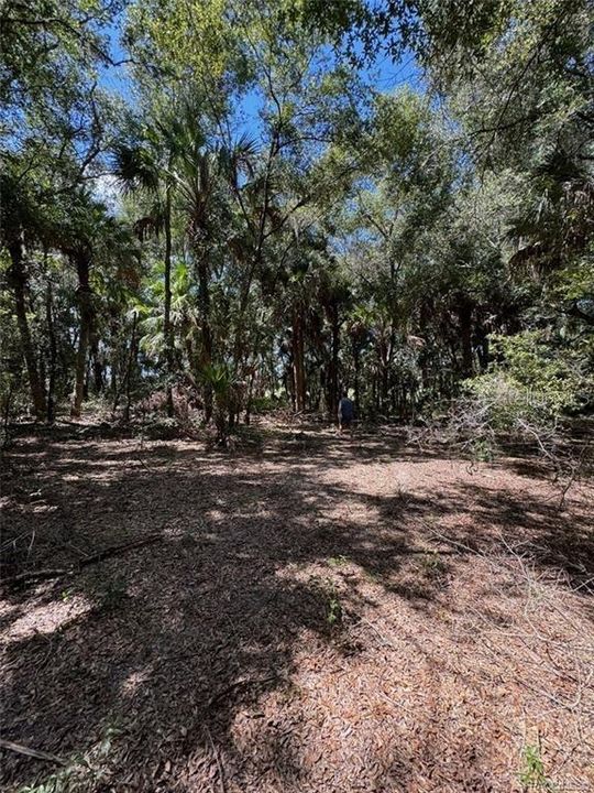 For Sale: $37,900 (1.20 acres)