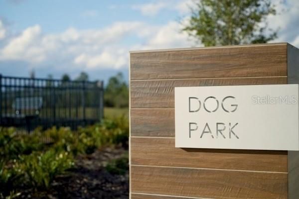 Dog Park