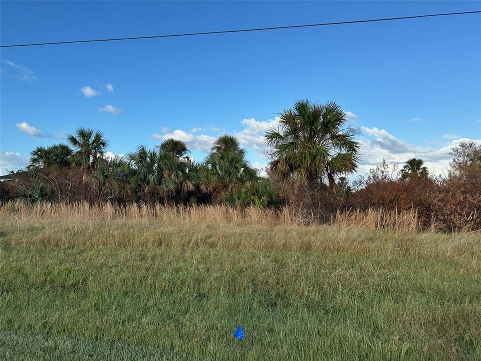 For Sale: $25,900 (0.17 acres)