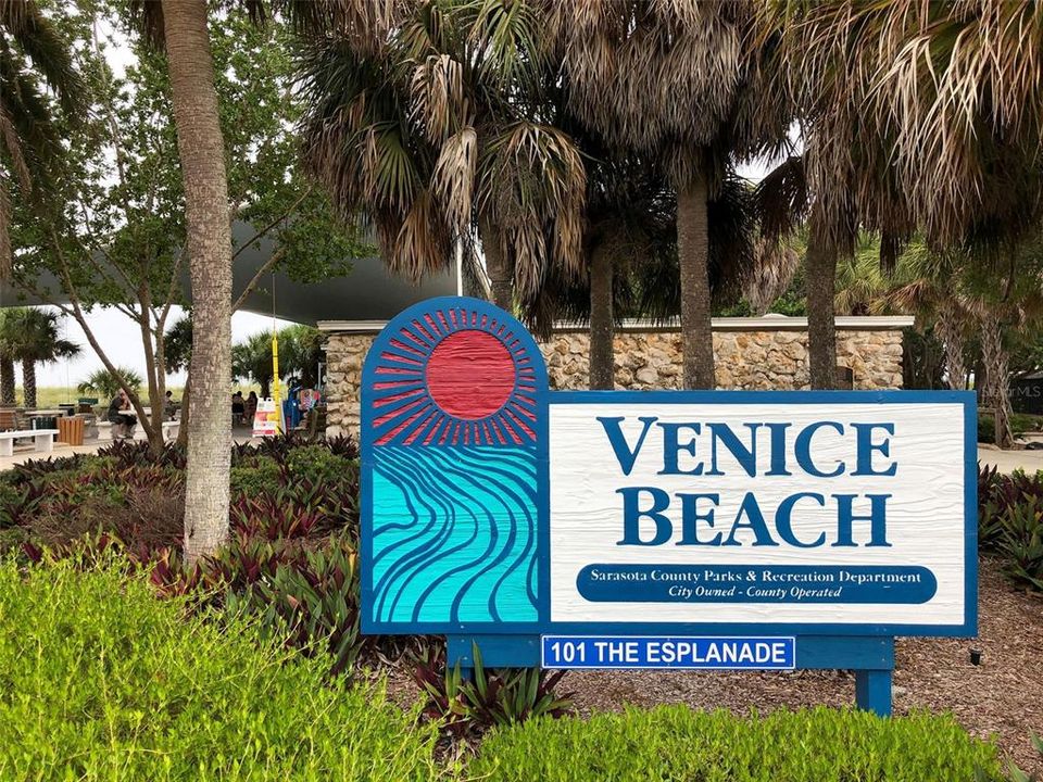 Venice is a beach lovers dream - 5 beautiful beaches, all with complimentary parking.  Venice beach is only 15 minutes away.