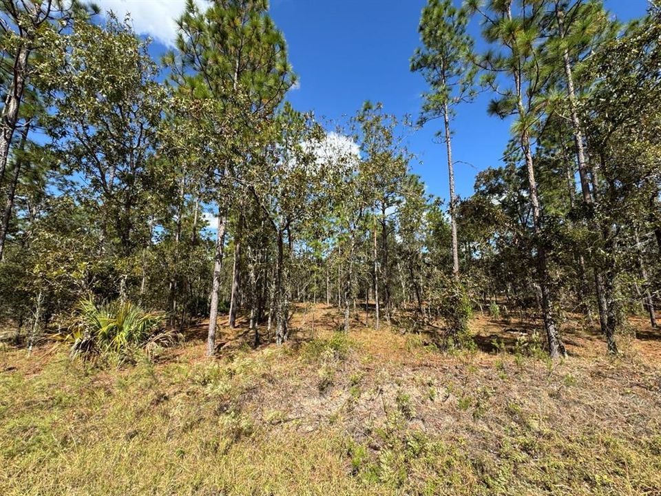 En Venta: $14,000 (0.24 acres)