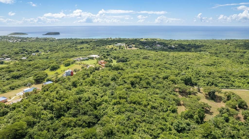 На продажу: $375,000 (5.90 acres)