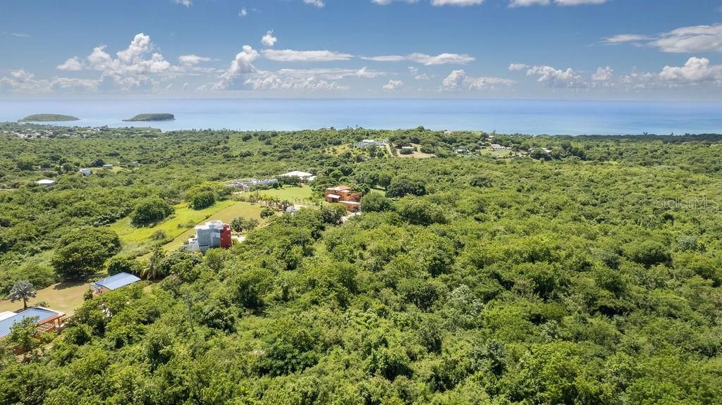 На продажу: $375,000 (5.90 acres)