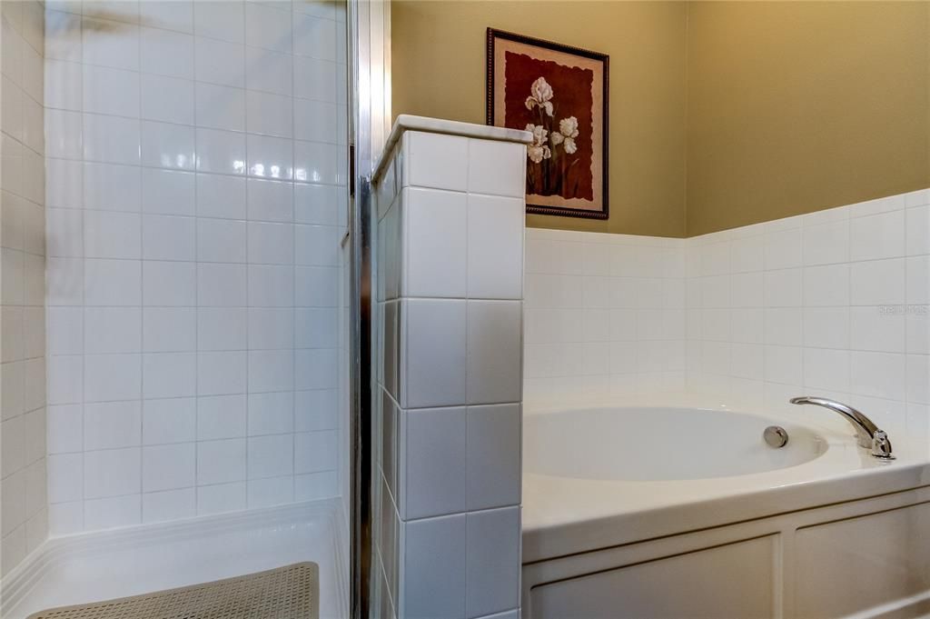 View of primary bathroom's shower and tub.