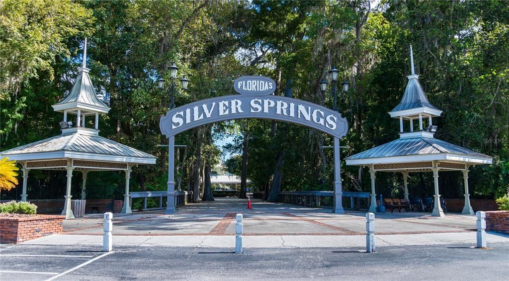 Silver Springs!